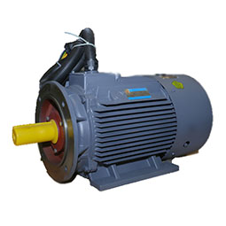 YD、YDT系列變極多速電動(dòng)機(jī)